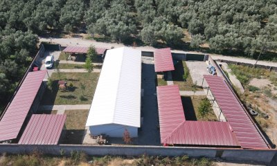 İZNİK BELEDİYESİ’NDEN SOKAK HAYVANLARINA TAM TEŞEKKÜLLÜ MERKEZ